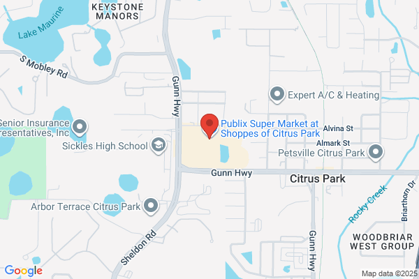 Publix Liquors at Shoppes of Citrus Park