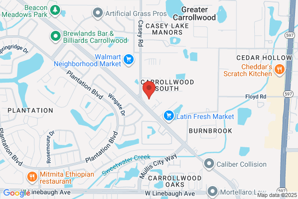 Carrollwood Pet Grooming