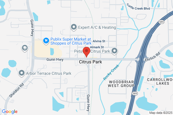 Citrus Park Animal Bird