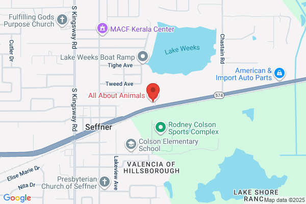 Seffner Animal Hospital