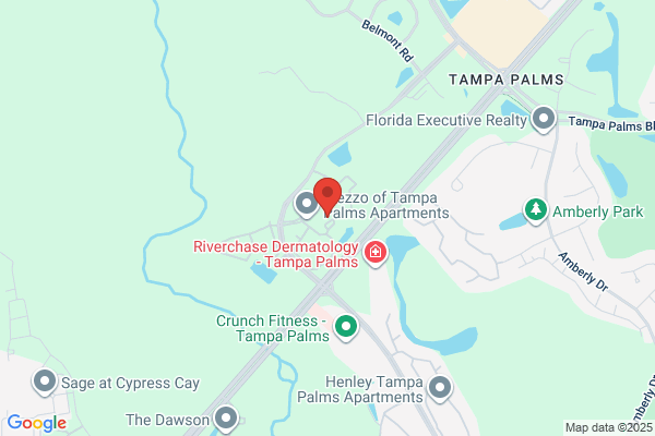 Bristol Place At Tampa Palms