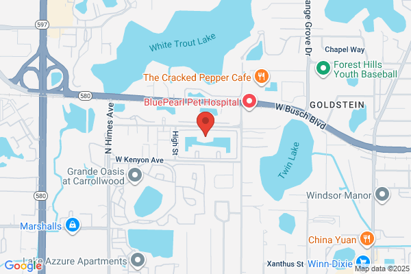 Carrollwood Station