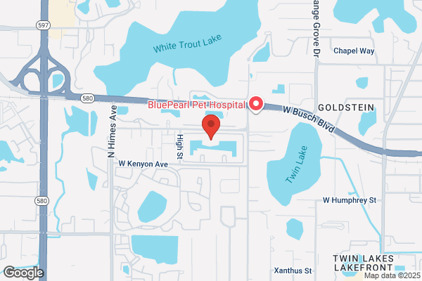 Carrollwood Station Apartments