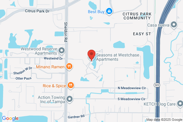 Century Falls At Westchase