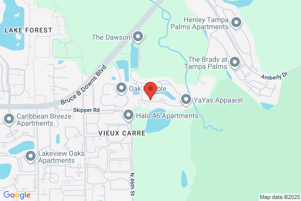Eagles Point At Tampa Palms Apartments