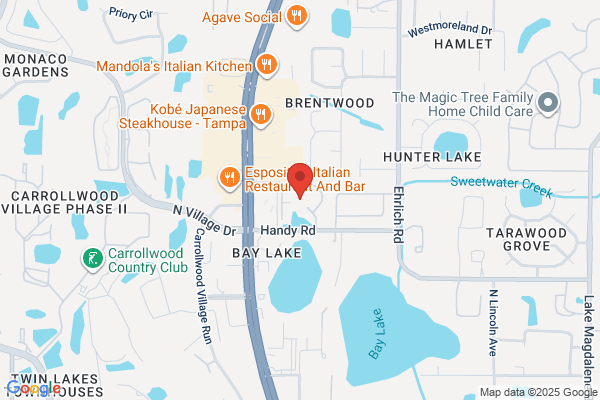 Lakeside North At Carrollwood