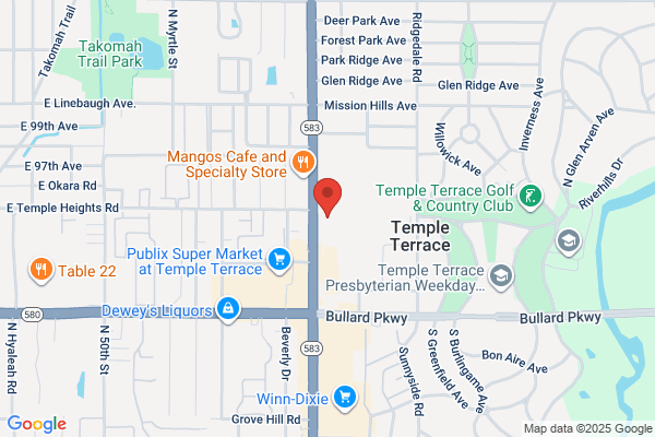 Temple Terrace Arts Council