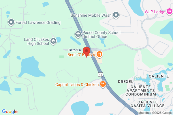 Lutz Land O'lakes Auto Body Shop