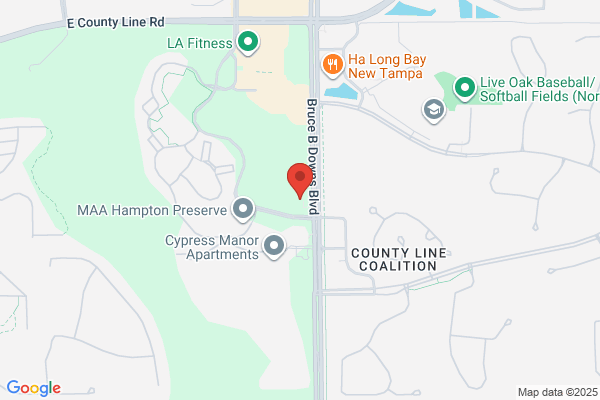 Christian Brothers Automotive New Tampa