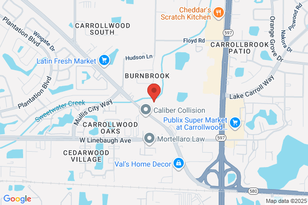 Carrollwood Auto Repair