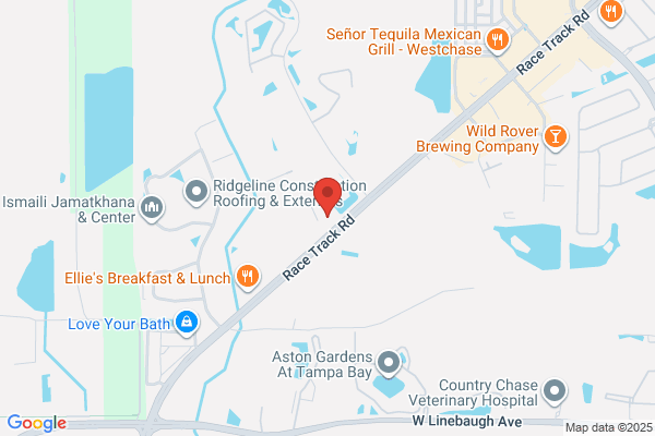 SpeedPro of Tampa - Westchase
