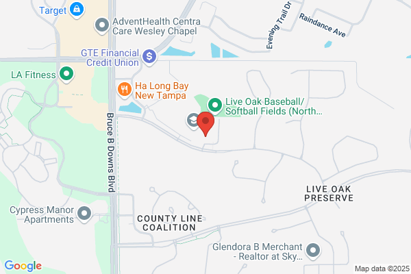 New Tampa Little League