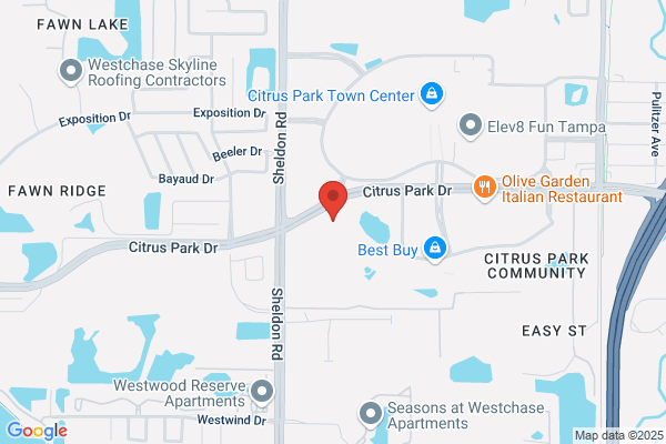 Bed Pros Mattress Citrus Park