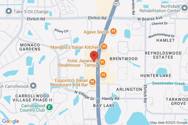 Mattress Firm Carrollwood