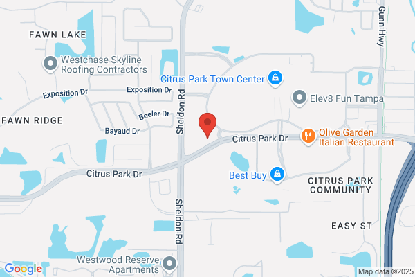 Mattress Firm Citrus Park
