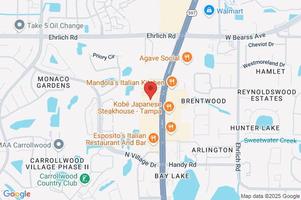 Arthur Murray Dance Centers Tampa North
