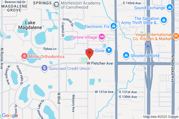 Advance Auto Parts