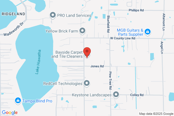 Bayside Carpet Cleaning