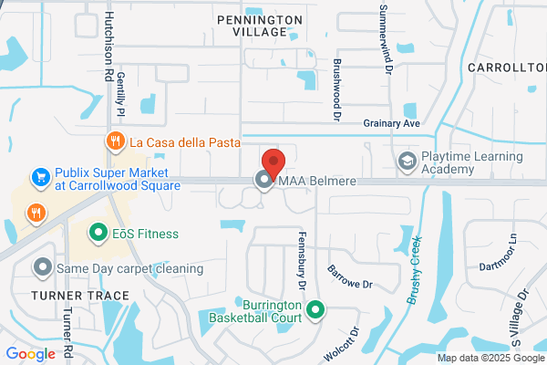 Carrollwood Village