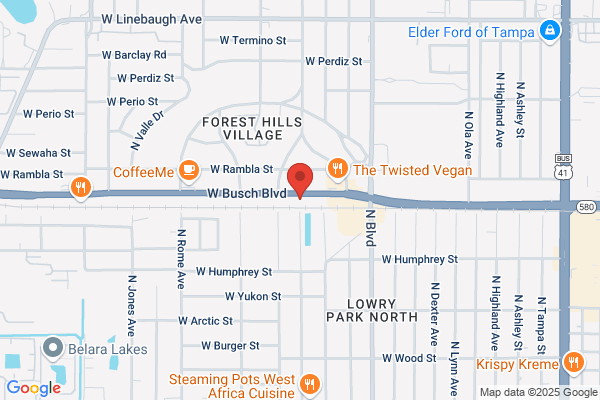 Tampa Chiropractic and Auto Injuries