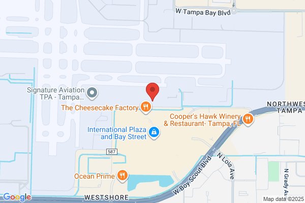 Skyway Technology Group Inc
