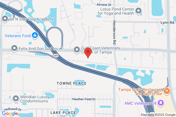 Bassin Center for Plastic Surgery Tampa