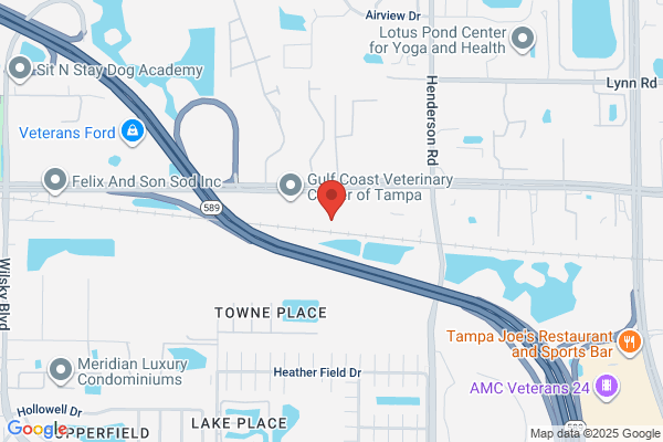 LazerLift Tampa