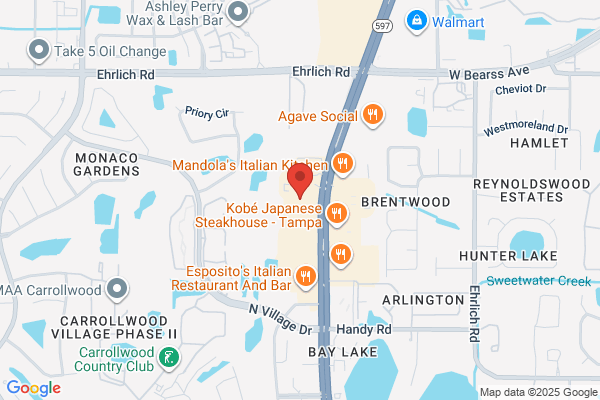Arthur Murray Dance Studio Tampa North