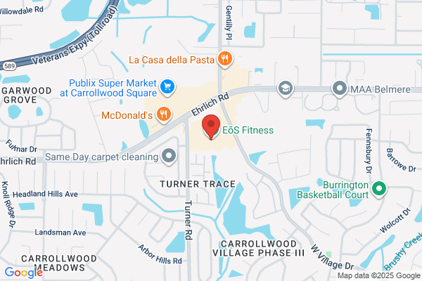 Little Gym of N Tampa