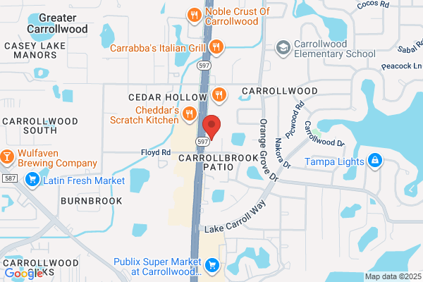 Ideal Dental Carrollwood