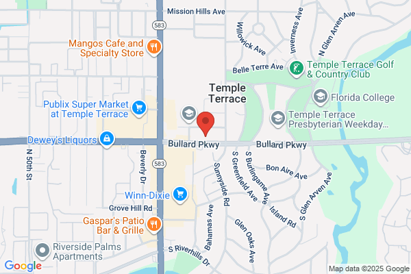 Tampa Bay Mini Dental Implant Solutions