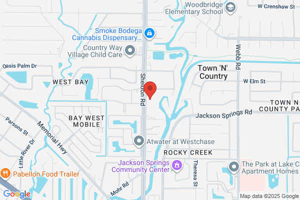 Tampa Dental