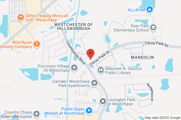 Tampa Dental Wellness of Westchase