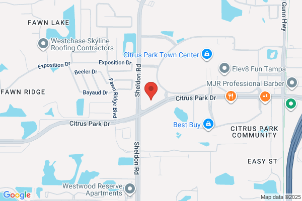 COPT Dental Design | Dr. Athanasius Morcos