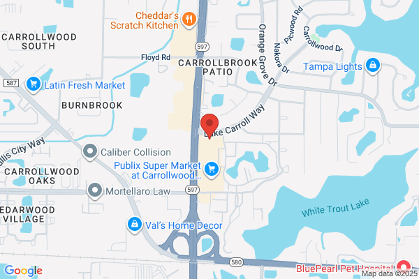 CBD American Shaman - Tampa CBD Store (Carrolwood Center Shopping Location)