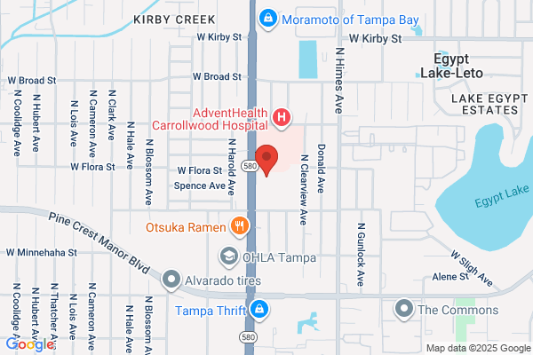WellMed at Carrollwood