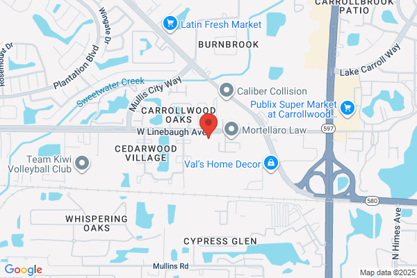 WellMed at Linebaugh