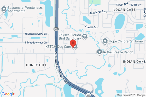 K-9 Educational Training Center Of Hillsborough Inc dba "Ketch"