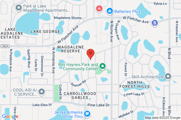 Tampa Pressure Washing