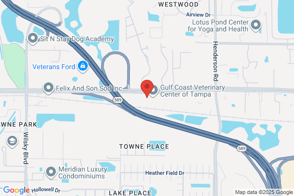 Audiology & Hearing Center of Tampa