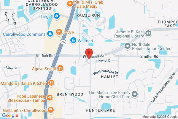 Carrollwood Optical