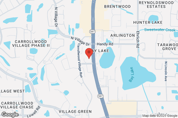 Newsom Eye - Carrollwood