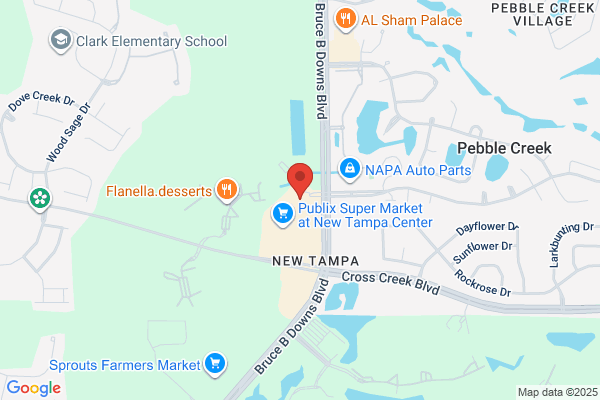 The Eye Doctors Tampa - Now True Eye Experts