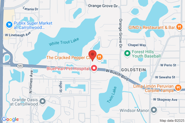 Tampa Bay Surgical Associate