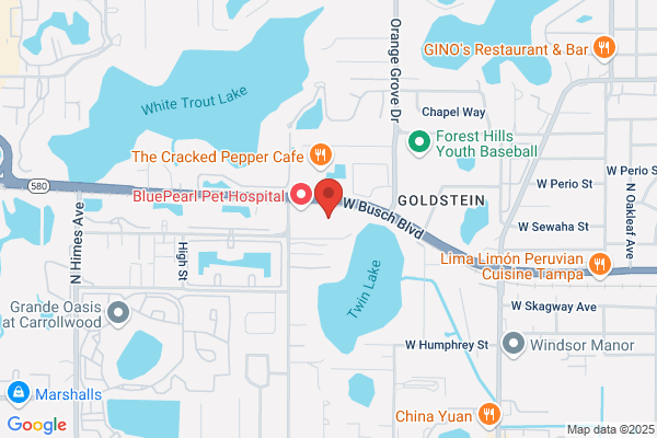 Westwood Physicians Group