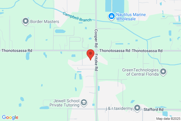 South Tampa Florist