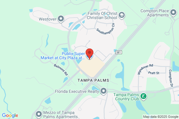 Publix Super Market at City Plaza at Tampa Palms