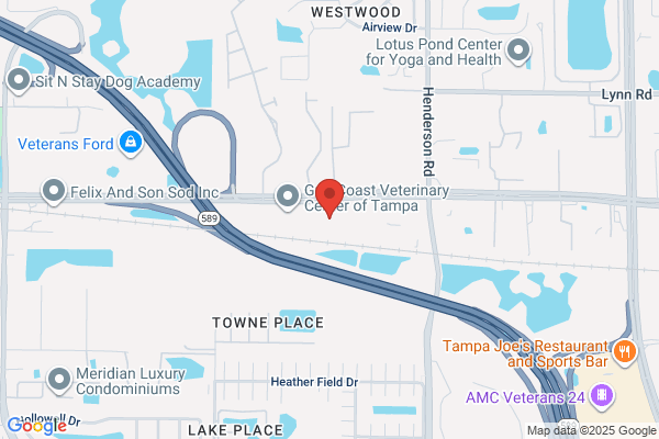 Tampa Hair Restoration Center