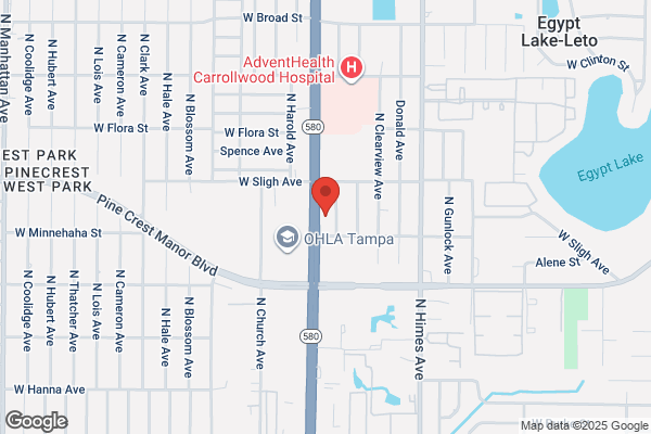 Curves of Carrollwood