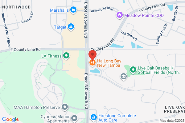 FirstLight Home Care of North Tampa & East Pasco